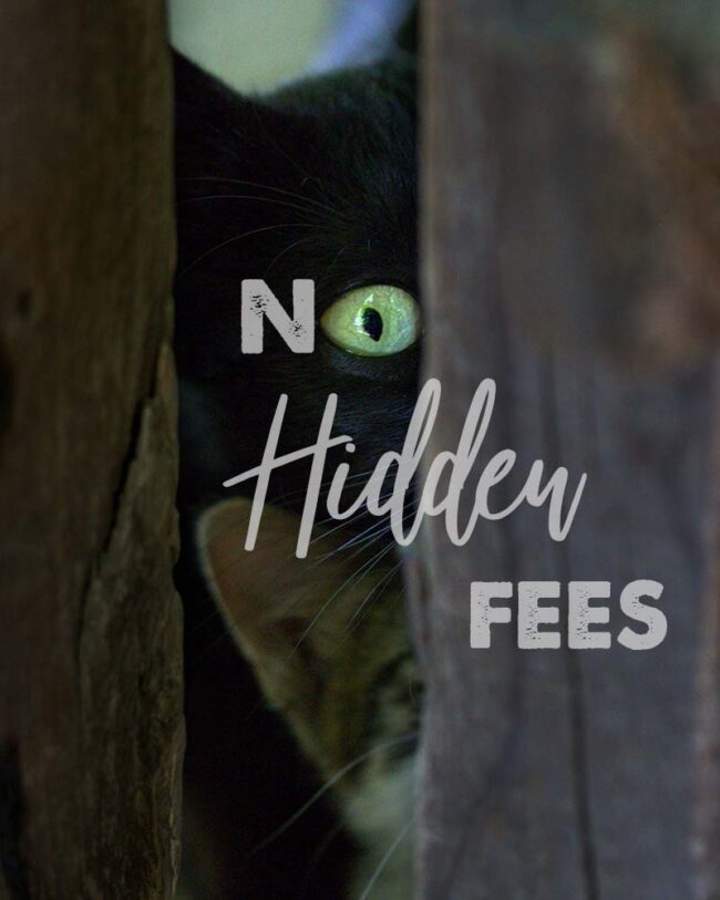 no-hidden-fees no hidden fees