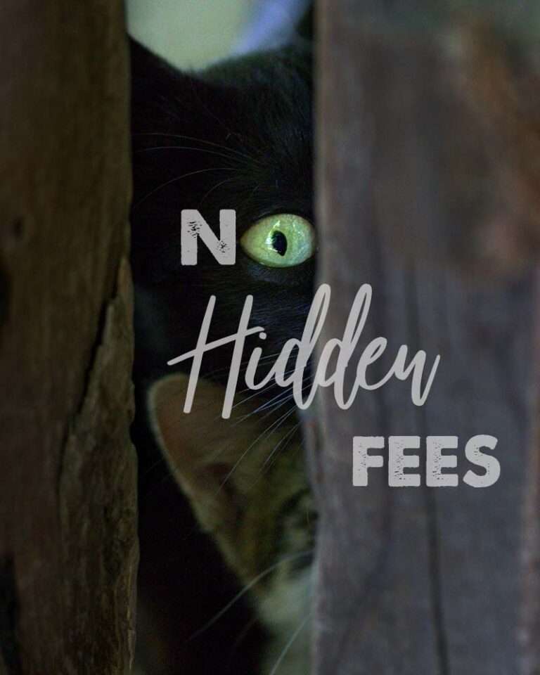 no-hidden-fees no hidden fees