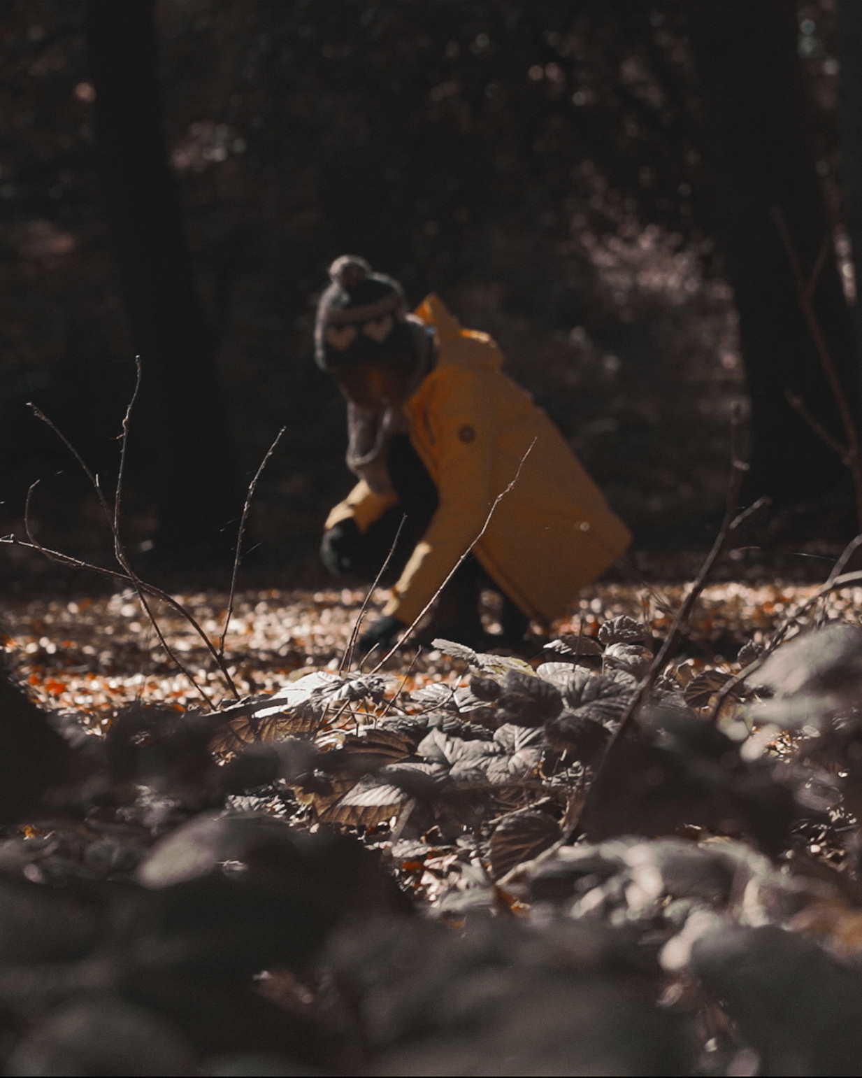Light Leak Productions - Wilderness Calls